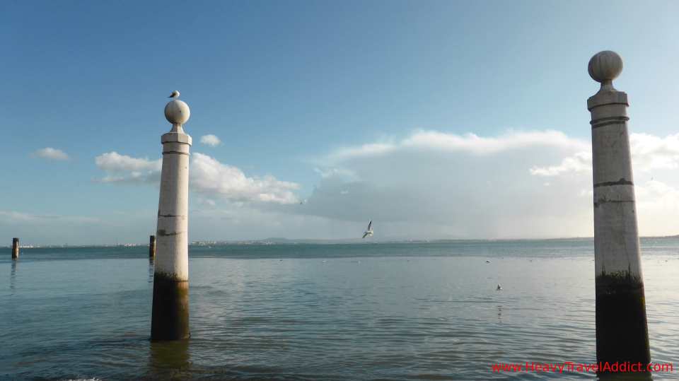 Tejo