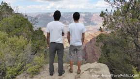 My favourite Travel Companions